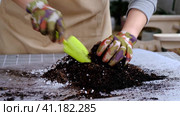 Hands in gloves mix ingredients for the soil of home potted plants, peat, earth, sand, perlite, vermiculite, coconut. A mixture for planting plants in a pot. Layout. Стоковое видео, видеограф Ольга Симонова / Фотобанк Лори