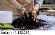 Hands in gloves mix ingredients for the soil of home potted plants, peat, earth, sand, perlite, vermiculite, coconut. A mixture for planting plants in a pot. Layout. Стоковое видео, видеограф Ольга Симонова / Фотобанк Лори