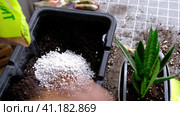 Hands in gloves mix ingredients for the soil of home potted plants, peat, earth, sand, perlite, vermiculite, coconut. A mixture for planting plants in a pot. Layout. Стоковое видео, видеограф Ольга Симонова / Фотобанк Лори