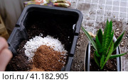 Hands in gloves mix ingredients for the soil of home potted plants, peat, earth, sand, perlite, vermiculite, coconut. A mixture for planting plants in a pot. Layout. Стоковое видео, видеограф Ольга Симонова / Фотобанк Лори
