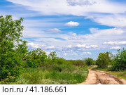 Photo of a rural landscape after rain. A dirt road with puddles that meandered along the groves of trees. Фотография сельского пейзажа после дождя. Грунтовая дорога с лужами, которая извивалась вдоль рощиц деревьев. Стоковое фото, фотограф Дмитрий Березнев / Фотобанк Лори