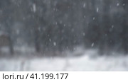 Heavy snowfall. Beautiful forest landscape of snow and blurred trees. Gently falling snow flakes. Bad snowy weather cold day. Winter nature background. Nobody, No People, Super Slow motion. Snowstorm. Стоковое видео, видеограф Марина Демидюк / Фотобанк Лори
