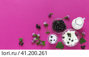 Flat lay video of ripe garden blackcurrant, organic dairy products, currant leaves and clover flowers on pink background. Jug of milk, bowl of cottage cheese and Greek yogurt with berries for breakfast. Стоковое видео, видеограф Виктория Катьянова / Фотобанк Лори