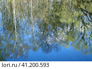 ОТражение природы в воде. Стоковое фото, фотограф KSENIYA MICHBA / Фотобанк Лори