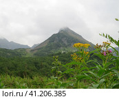 Вачкажец. Стоковое фото, фотограф Алексей Галайко / Фотобанк Лори