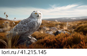 Полярная сова (Snowy owl, Bubo scandiacus, Nyctea scandiaca). Generative AI. Стоковое AI-изображение, AI-художник Щеголева Ольга / Фотобанк Лори