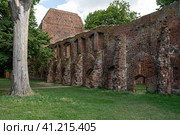 Ruins of Eldena Abbey (Hilda Abbey) - is a former Cistercian monastery near the present town of Greifswald in Mecklenburg-Vorpommern, Germany (2021 год). Стоковое фото, фотограф Sergey Kohl / Фотобанк Лори