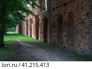 Ruins of Eldena Abbey (Hilda Abbey) - is a former Cistercian monastery near the present town of Greifswald in Mecklenburg-Vorpommern, Germany (2021 год). Стоковое фото, фотограф Sergey Kohl / Фотобанк Лори
