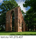 Ruins of Eldena Abbey (Hilda Abbey) - is a former Cistercian monastery near the present town of Greifswald in Mecklenburg-Vorpommern, Germany (2021 год). Стоковое фото, фотограф Sergey Kohl / Фотобанк Лори