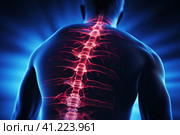 Man's Back with Highlighted Spine. Стоковое AI-изображение, AI-художник Поликарпов Владимир Владимирович / Фотобанк Лори