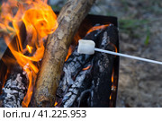 Marshmallow strung on skewer is being grilled under the fire. Dessert on the open fire. Dinner in the hiking camp on sunset. Зефир, нанизанный на шпажку, обжаривается на огне. Десерт на открытом огне. Ужин в туристическом лагере на закате. Стоковое фото, фотограф Дмитрий Березнев / Фотобанк Лори