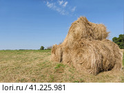 Autumn landscape. Four haystacks which are stacked one on another and located on the field on the sunny day. Clean blue sky with some clouds on the background. Осенний пейзаж. Четыре стога сена, которые сложены один на другой и расположены на поле в солнечный день. Ясное голубое небо с несколькими облаками на заднем плане. Стоковое фото, фотограф Дмитрий Березнев / Фотобанк Лори