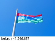 В солнечном голубом небе реет флаг Республики Карелия (2023 год). Редакционное фото, фотограф Sergei Gorin / Фотобанк Лори