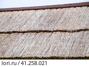 The slope of the roof of reeds and straw. Стоковое фото, фотограф Леонид Еремейчук / Фотобанк Лори