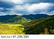 Перевал Чике-Таман. Горный Алтай. (2023 год). Стоковое фото, фотограф Макаров Алексей / Фотобанк Лори