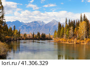 Autumn landscape with Eastern Sayan Mountains and yellowed trees on banks of Irkut River. Natural seasonal background. Siberia, Baikal region, Buryatia, Tunka foothill Valley. Autumn travel and outdoors. Стоковое фото, фотограф Виктория Катьянова / Фотобанк Лори