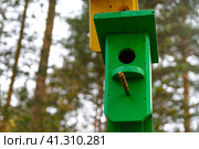 Green wooden birdhouse on a tree in the park. Bird feeder. A house for the birds. Selective focus. Copy space. Зеленый деревянный скворечник на дереве в парке. Кормушка для птиц. Домик для птиц. Избирательный фокус. Стоковое фото, фотограф Дмитрий Березнев / Фотобанк Лори