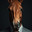 The head of a thoroughbred horse in a business suit on a dark background. Generated by AI. Стоковое AI-изображение, AI-художник Ярославский Максим / Фотобанк Лори
