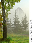 Bugrinskaya grove in the fog. Стоковое фото, фотограф ArhSib / Фотобанк Лори