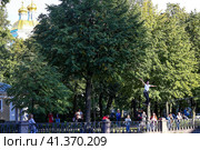 Хождение по канату, Крюков канал, Санкт-Петербург (2023 год). Редакционное фото, фотограф Евгений Кашпирев / Фотобанк Лори
