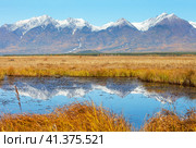 Autumn landscape of foothill Tunka valley with snow-capped peaks of Eastern Sayan mountain range, yellow meadow near swampy river on sunny October day. Natural background. Autumn trips to nature. Стоковое фото, фотограф Виктория Катьянова / Фотобанк Лори