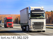 Group of trucks with containers moves along  highway. Стоковое фото, фотограф Юрий Бизгаймер / Фотобанк Лори