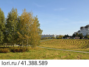 Microdistrict Mitino and Mitino Landscape Park on golden autumn day. Moscow, Russia (2023 год). Стоковое фото, фотограф Валерия Попова / Фотобанк Лори
