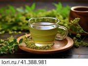 Cup of moringa herbal tea on the table with fresh leaves and flowers. AI generated. Стоковое AI-изображение, AI-художник Александра Селина / Фотобанк Лори