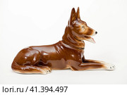 German Shepherds. Стоковое фото, фотограф Андрей Аркуша / Фотобанк Лори