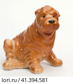Shar pei puppy. Стоковое фото, фотограф Андрей Аркуша / Фотобанк Лори