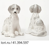 Spotted Dalmatians. Стоковое фото, фотограф Андрей Аркуша / Фотобанк Лори
