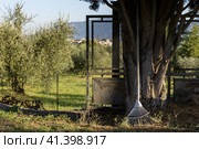 Италия. Терни. Грабли в саду в провинции Умбрия. Italy. Terni. A rake in a garden in the province of Umbria. Стоковое фото, фотограф Алексей Смышляев / Фотобанк Лори