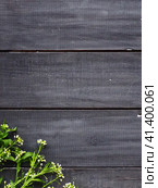 Flowers of shepherds purse on a wooden background. Copy space for text. Card for the holiday. Wood backdrop. White shepherds purse Capsella bursa-pastoris, plant of the mustard family Brassicaceae. Стоковое фото, фотограф Юлия Петровская / Фотобанк Лори