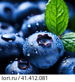 Ripe blueberries in drops of water. Generated by AI. Стоковое AI-изображение, AI-художник Ярославский Максим / Фотобанк Лори