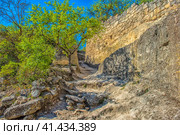 The remains of a medieval fortress city (according to other sources - a monastery) Tepe-Kermen, covering the upper part of the mountain in several tiers (2020 год). Стоковое фото, фотограф Анна Кривицкая / Фотобанк Лори