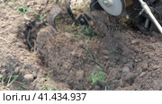 Powerful cultivator, Tiller. Gardening. Spring work on the farm. Land cultivation with a Motor ripper. Man plows the ground. Spring soil preparation for seeding. Husbandman, grower. Moto plow working. Стоковое видео, видеограф Марина Демидюк / Фотобанк Лори