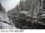 River Canyon and rocks in winter. Стоковое фото, фотограф Анна Кривицкая / Фотобанк Лори