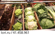 Different varieties of cabbage are laid out in separate containers on grocery store window. Стоковое видео, видеограф Яков Филимонов / Фотобанк Лори