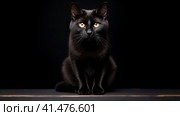 Black beautiful cute cat on a dark background on the day of Black Friday. Стоковое AI-изображение, AI-художник ALLA YURTAYEVA / Фотобанк Лори
