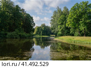 View of the Central Rosovopavilionny pond in the landscape part of the Pavlovsky Park Parade Field on a sunny summer day, Pavlovsk, St. Petersburg, Russia. Стоковое фото, фотограф Ula Ulachka / Фотобанк Лори