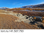Intermountain basin, Landscape with mountains, valleys, and creeks. Picturesque, colorful mountains in Gorny Altai. Стоковое фото, фотограф Саблин Станислав / Фотобанк Лори