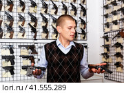 Man examining sporting revolvers before buying in gun store. Стоковое фото, фотограф Яков Филимонов / Фотобанк Лори