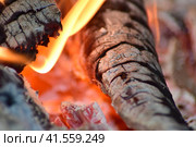 Hot coals in the stove. Стоковое фото, фотограф Леонид Еремейчук / Фотобанк Лори