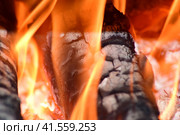 Hot coals in the stove. Стоковое фото, фотограф Леонид Еремейчук / Фотобанк Лори
