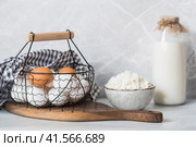 Fresh dairy products, milk, cottage cheese, eggs in stylish ceramic dishes on a gray background. The concept of natural, dietary nutrition. Useful products. Стоковое фото, фотограф Photojuli / Фотобанк Лори