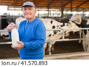 Elderly owner of cow farm with bottle of milk standing in stall on background with herd of cows on farm. Стоковое фото, фотограф Яков Филимонов / Фотобанк Лори