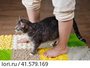 Woman foots and cat close-up on a medical orthopedic mat. Female legs with flat feet on a medical rug. Стоковое фото, фотограф Андрей Журавлев / Фотобанк Лори