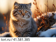 Бездомная кошка на улице. Стоковое AI-изображение, AI-художник Щеголева Ольга / Фотобанк Лори
