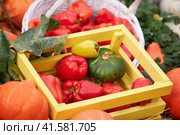 Harvest festival with autumn pumpkins and vegetables. Sale of agricultural crops on the outdoor market after the holiday. Стоковое фото, фотограф Андрей Журавлев / Фотобанк Лори