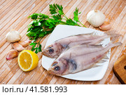 Fresh megrim sole flatfish on wooden board. Стоковое фото, фотограф Яков Филимонов / Фотобанк Лори